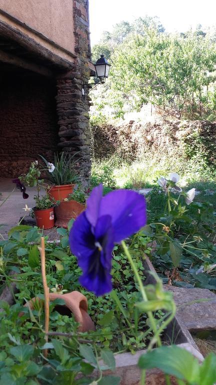 Los Balcones Del Rio Robledillo De Gata Kültér fotó